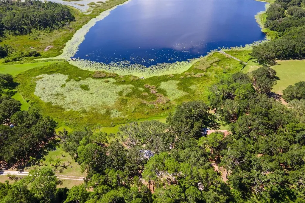 26833 Anderson Ranch Road Yalaha FL 34797