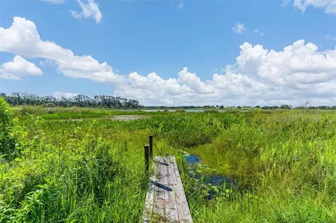 26833 Anderson Ranch Road Yalaha FL 34797