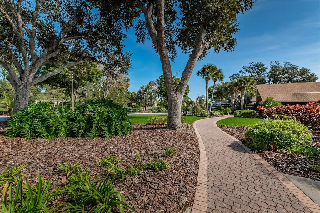 3248 Hilary Circle Palm Harbor FL 34684