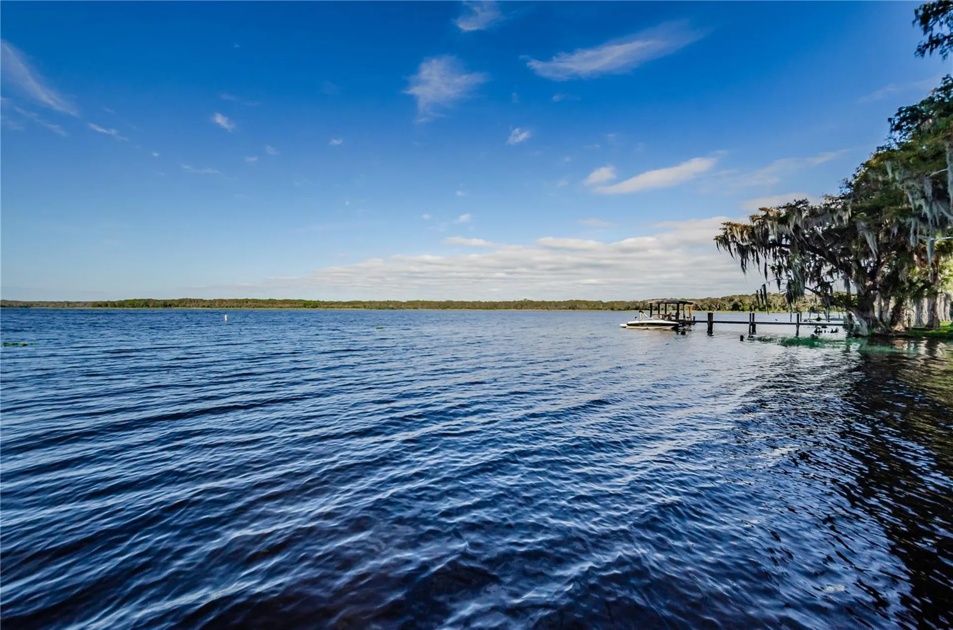 3248 Hilary Circle Palm Harbor FL 34684