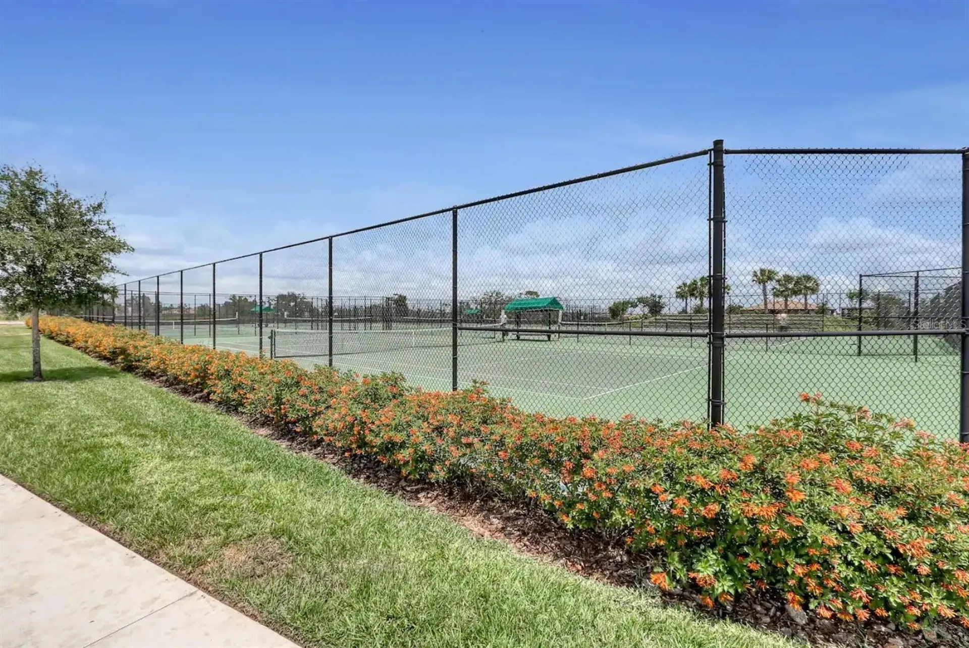 1136 Kingsbarn Street Davenport FL 33896