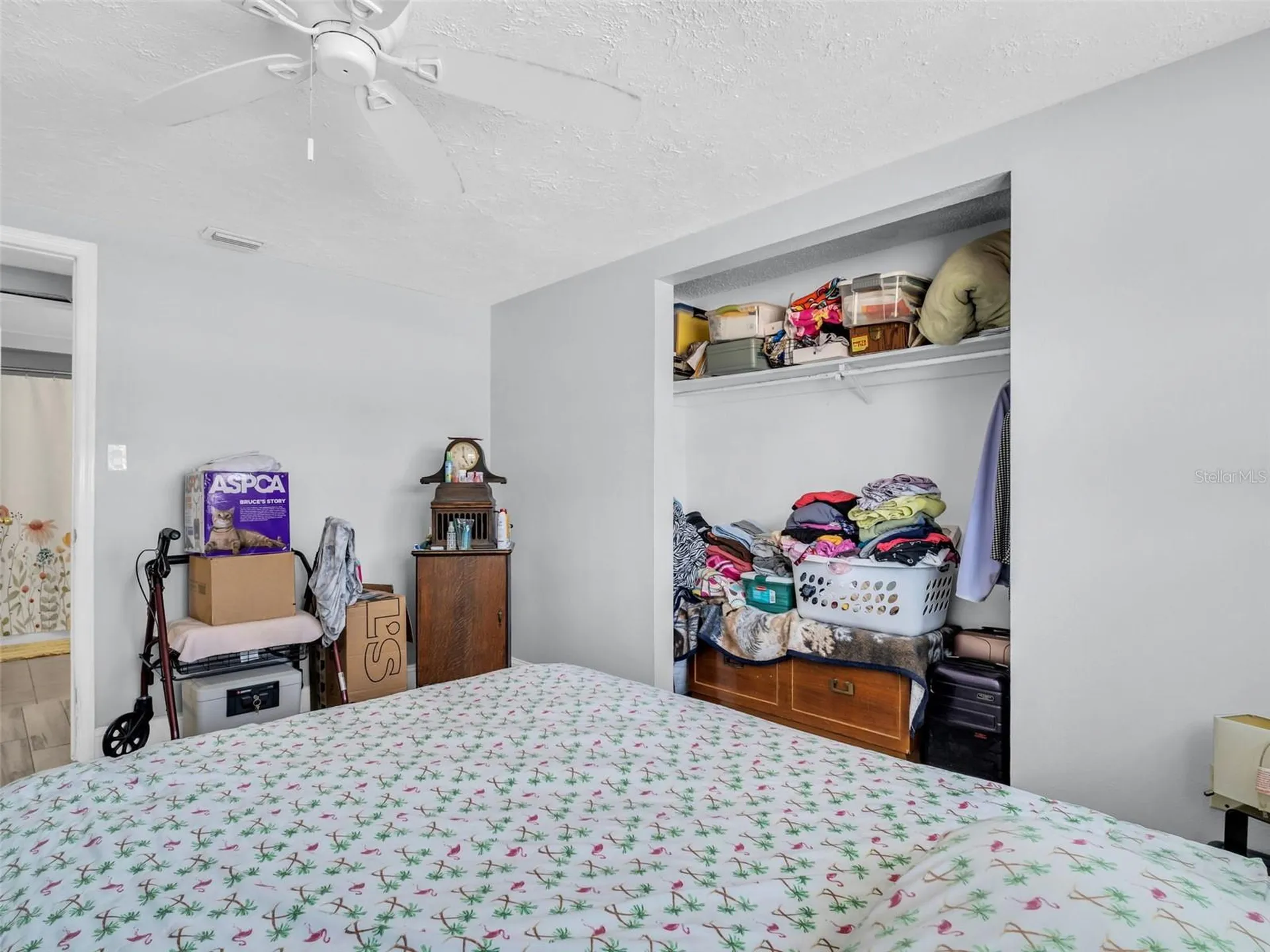 1714 Coppertree Drive Tarpon Springs FL 34689