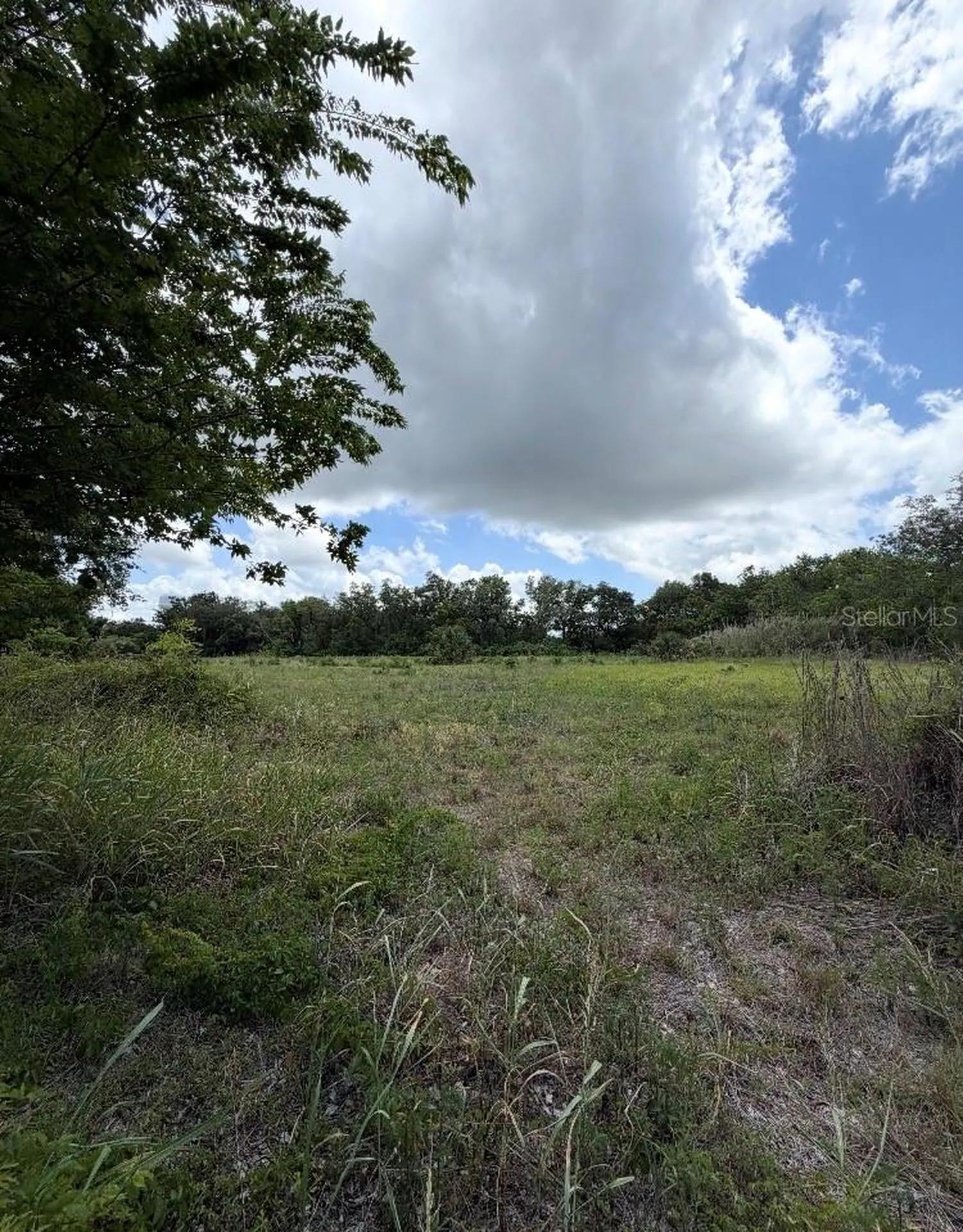 N Oakland Street Leesburg FL 34748