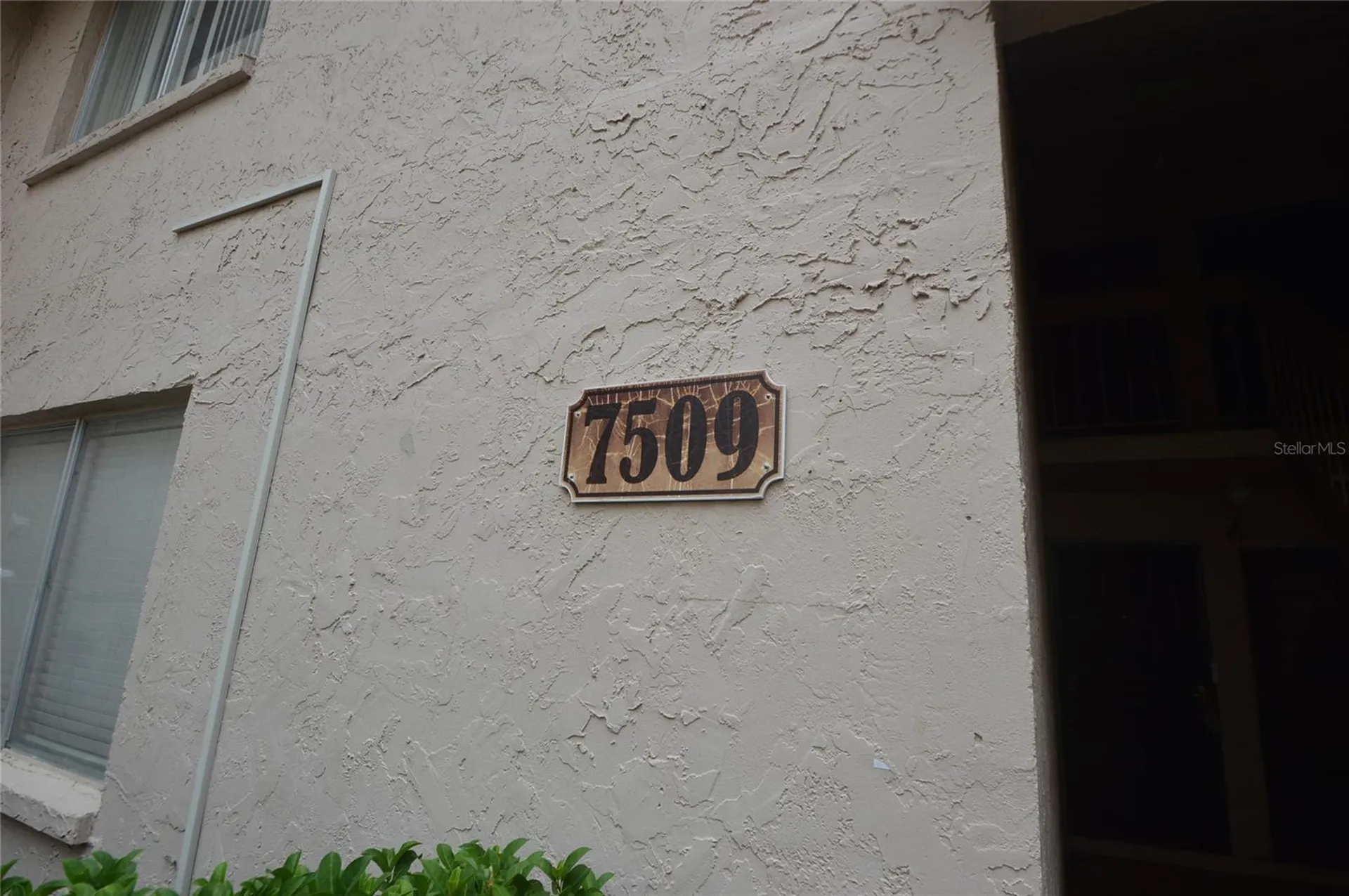 7509 Presley Place Tampa FL 33617