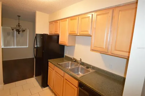7509 Presley Place Tampa FL 33617