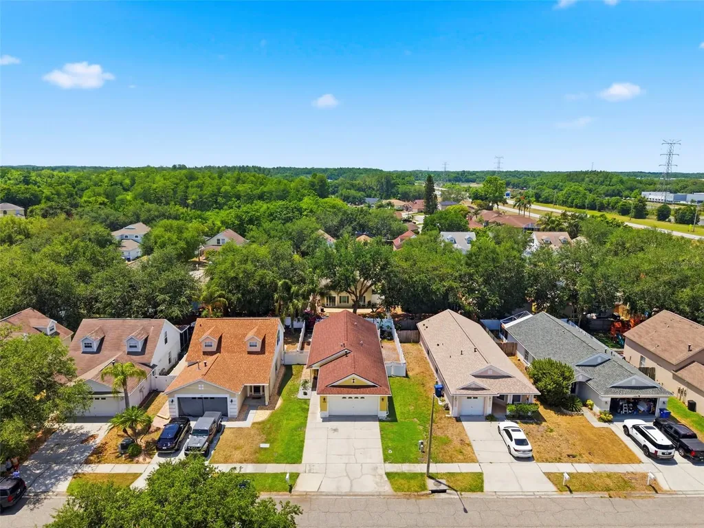 1825 Horsechestnut Trinity FL 34655