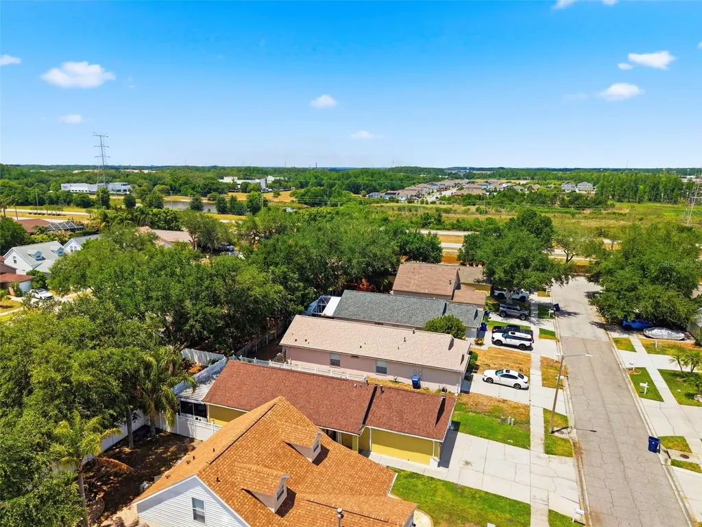 1825 Horsechestnut Trinity FL 34655
