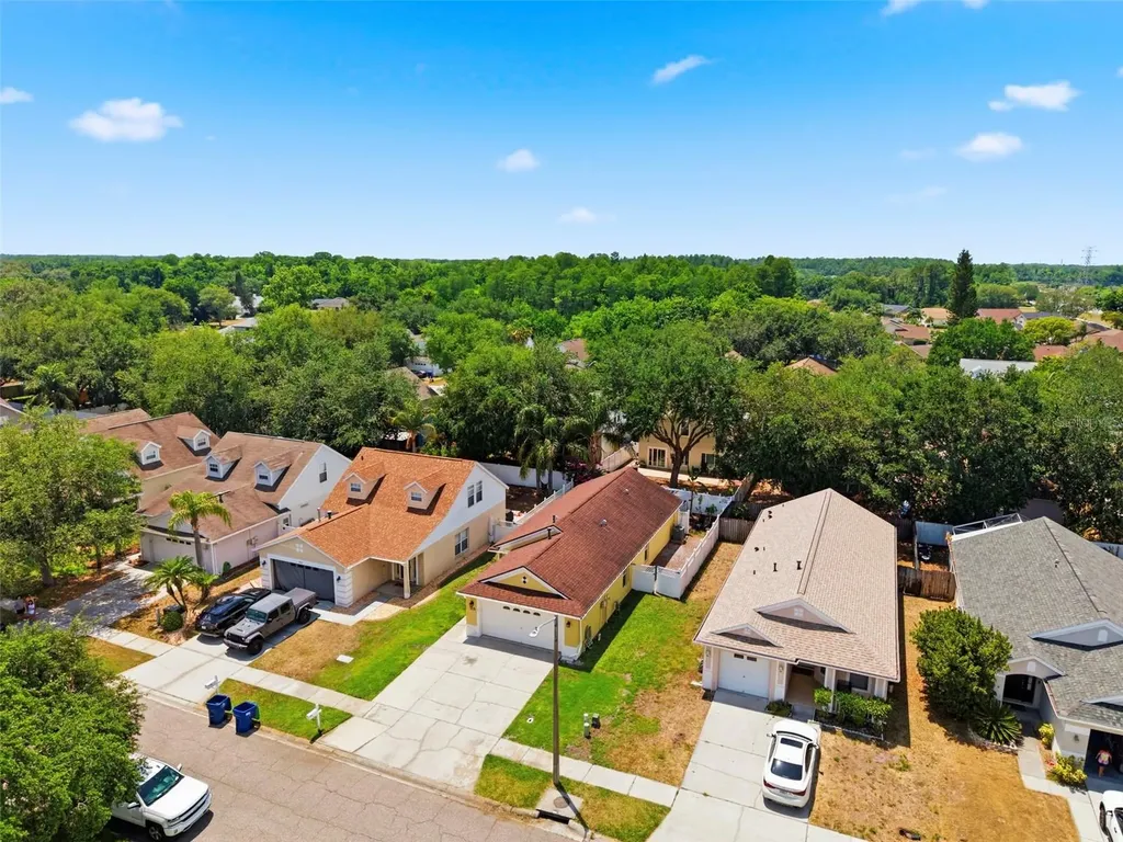 1825 Horsechestnut Trinity FL 34655