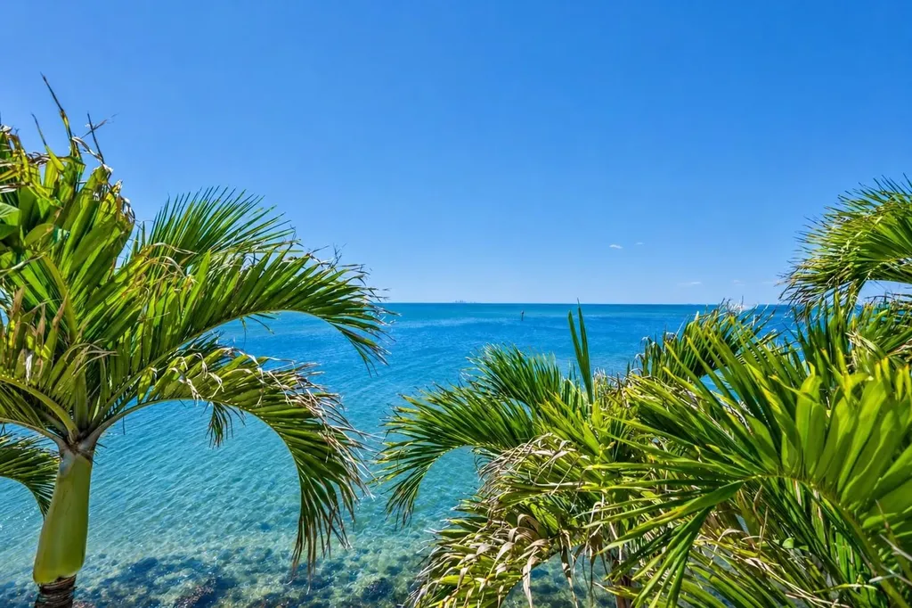 1021 Symphony Isles Boulevard Apollo Beach FL 33572