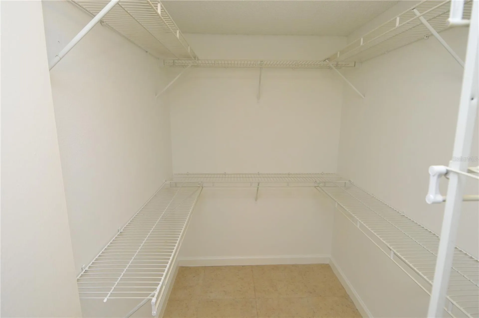 8645 Fancy Finch Drive Tampa FL 33614