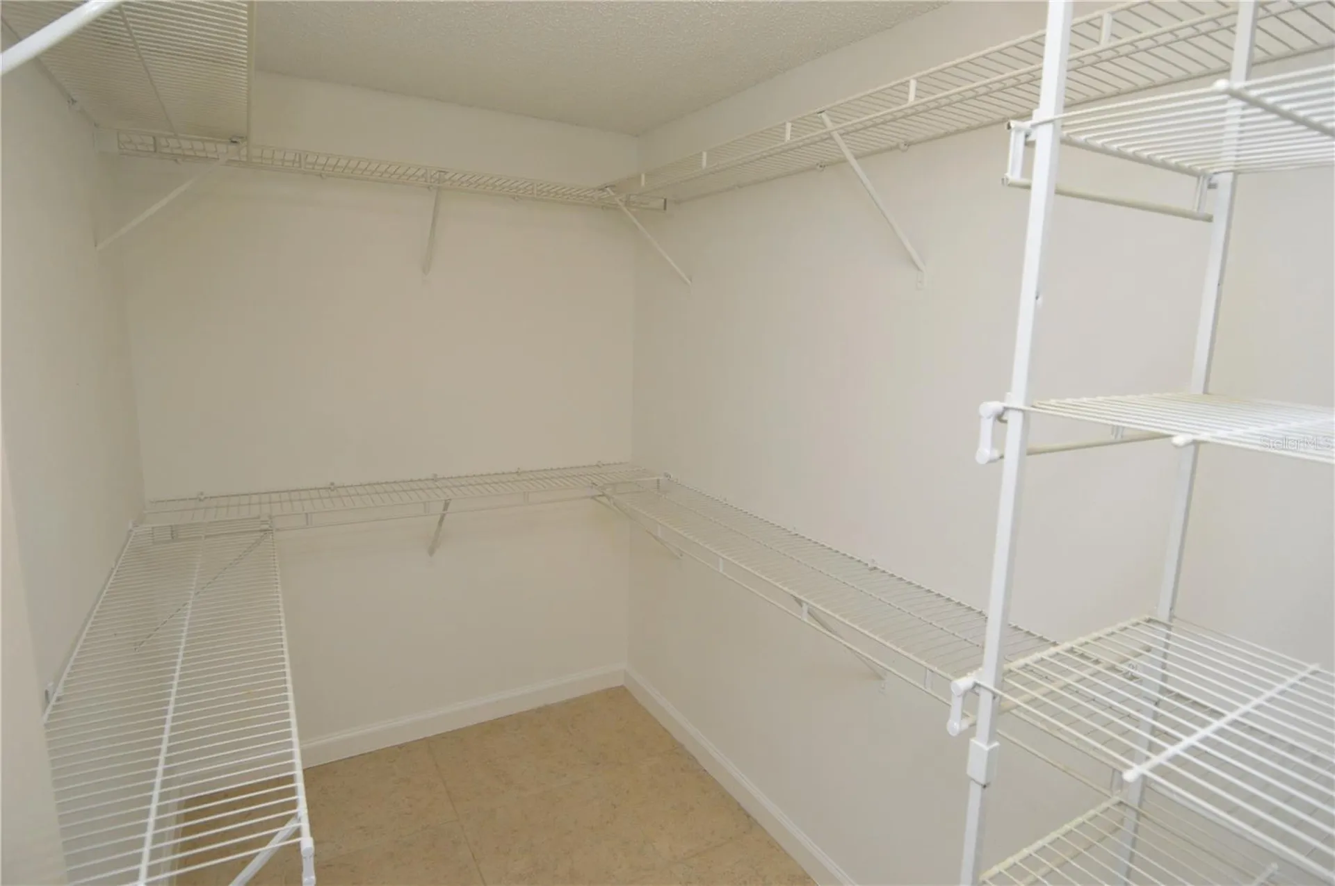 8645 Fancy Finch Drive Tampa FL 33614