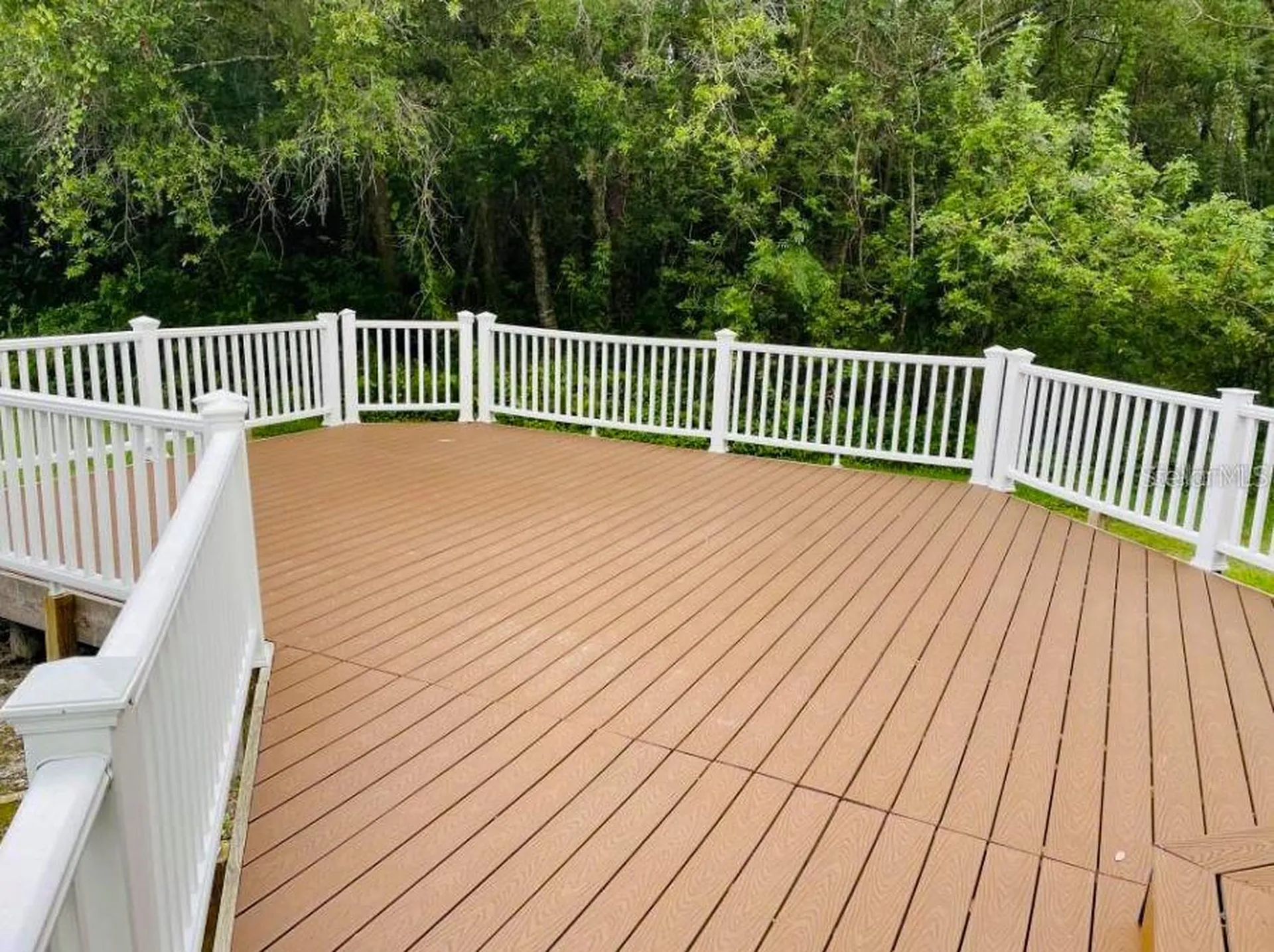 8645 Fancy Finch Drive Tampa FL 33614