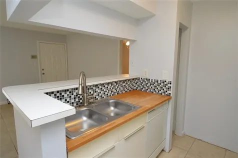 8645 Fancy Finch Drive Tampa FL 33614