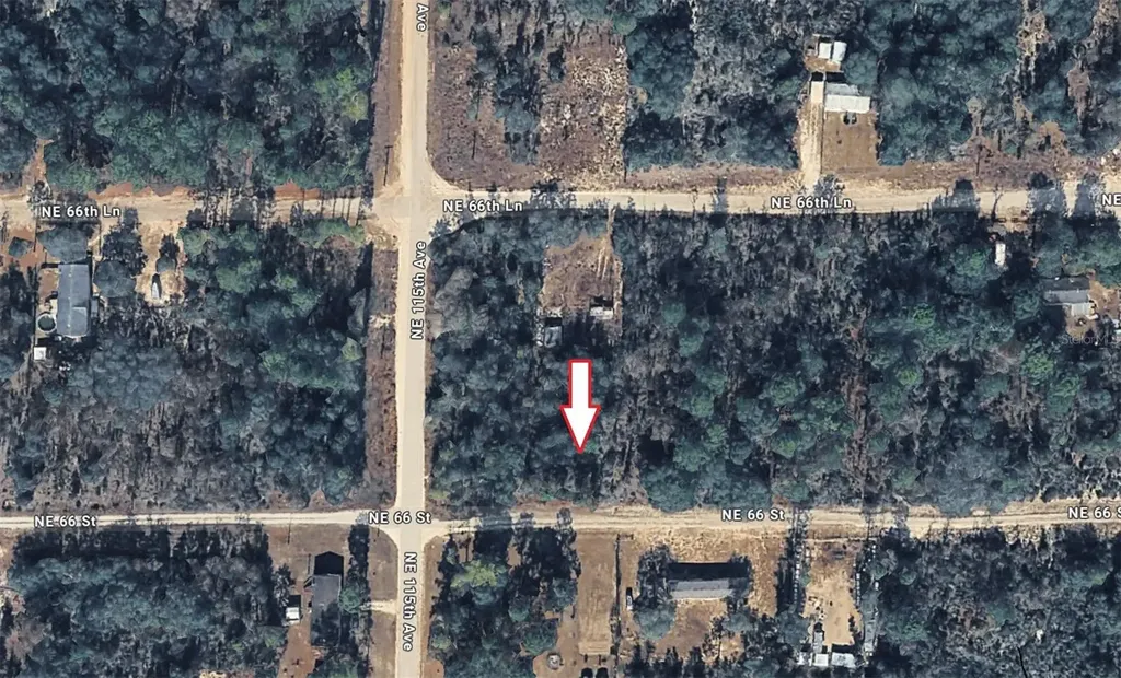 NE 66th Williston FL 32696