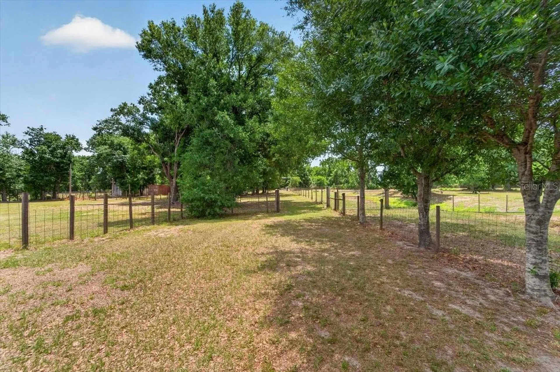 15623 Alderman Turner Road Wimauma FL 33598