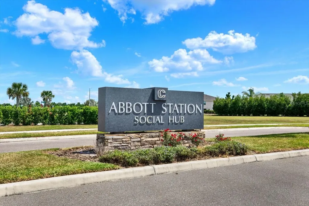 31601 Holton Court Wesley Chapel FL 33545