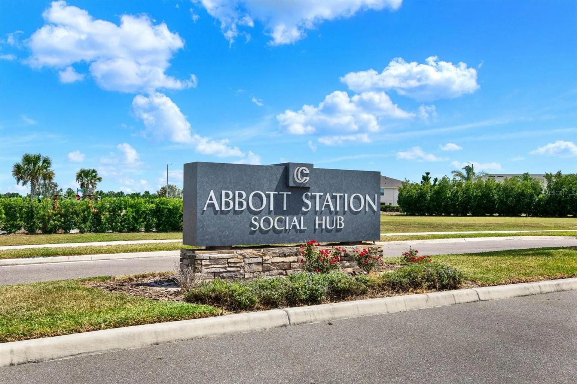 31601 Holton Court Wesley Chapel FL 33545