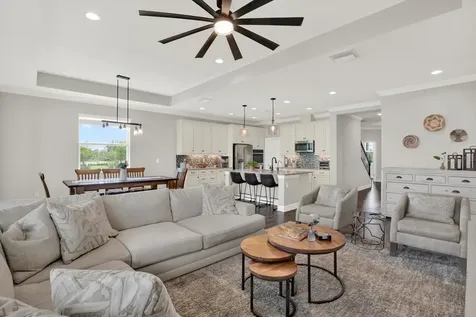 31601 Holton Court Wesley Chapel FL 33545