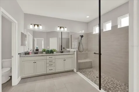 31601 Holton Court Wesley Chapel FL 33545