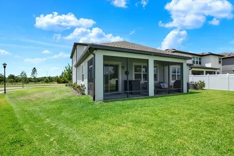 31601 Holton Court Wesley Chapel FL 33545