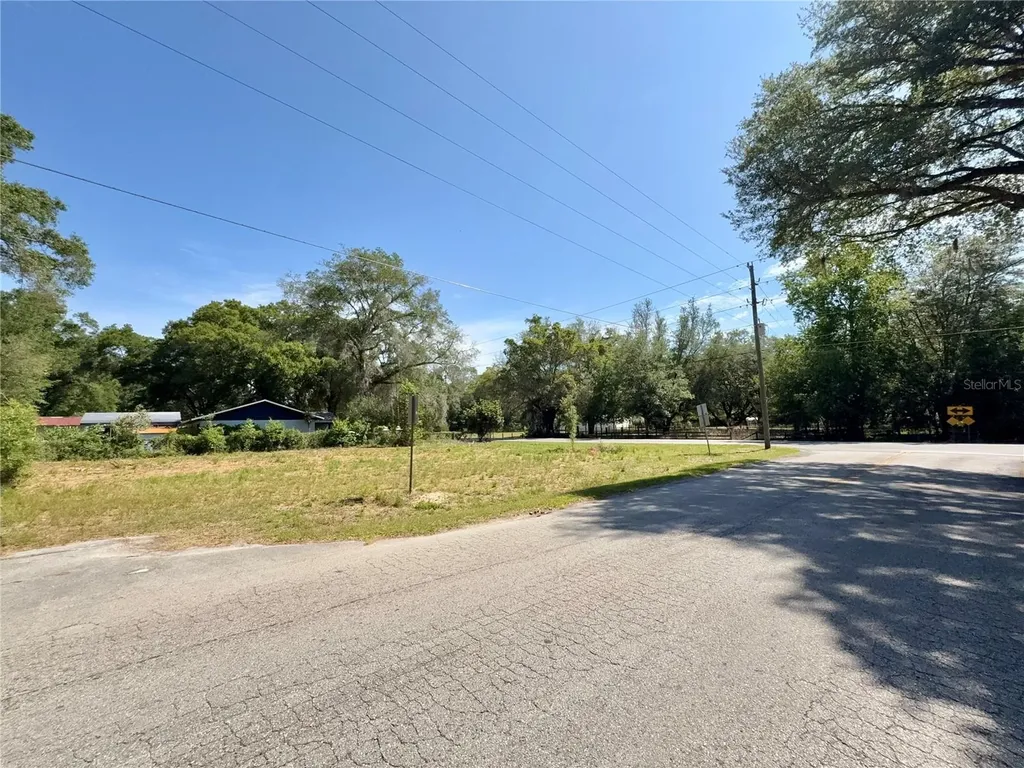 Tbd NW 12th Lane Morriston FL 32668