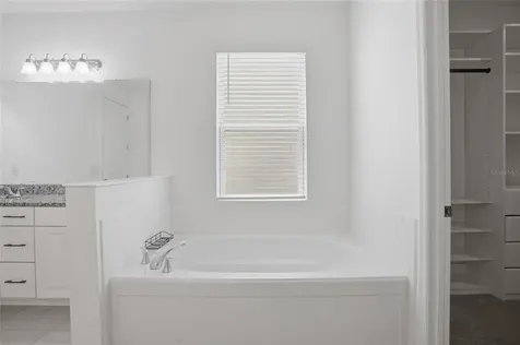 4897 Gilded Jewel Drive Mount Dora FL 32757