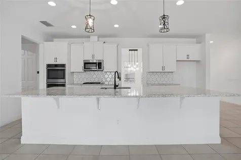 4897 Gilded Jewel Drive Mount Dora FL 32757