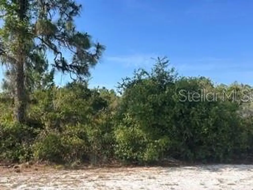 713 (BLK 123 Lots 15&16) Camellia Drive Indian Lake Estates FL 33855
