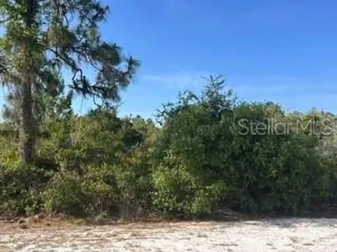 713 (BLK 123 Lots 15&16) Camellia Drive Indian Lake Estates FL 33855