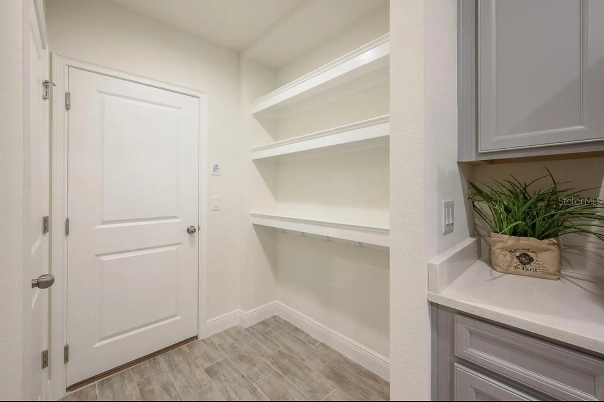 10128 Newel Valley Loop Riverview FL 33569