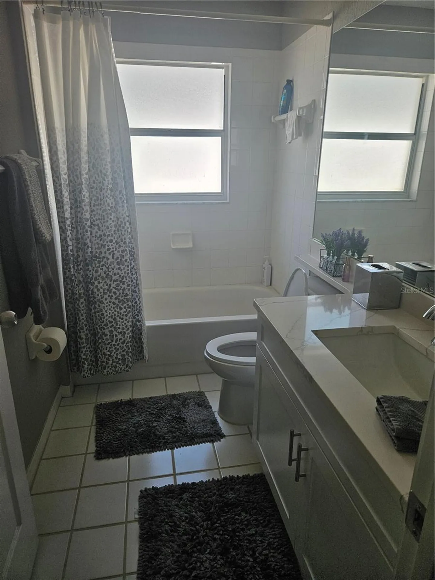 8611 Brookway Circle Tampa FL 33635