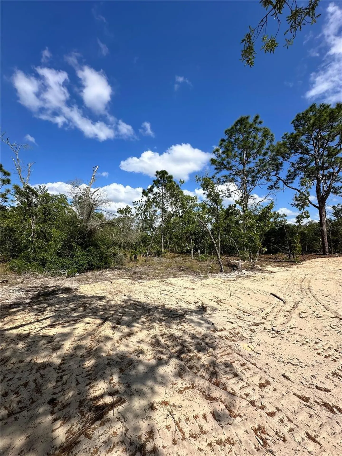 3239 W Kirkwood Place Dunnellon FL 34433
