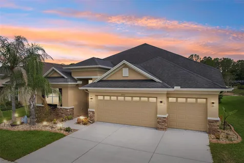 27152 Sora Boulevard Wesley Chapel FL 33544