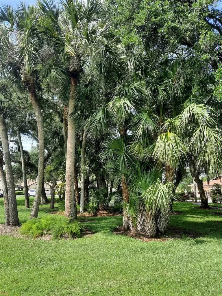 5709 Avista Drive Sarasota FL 34243