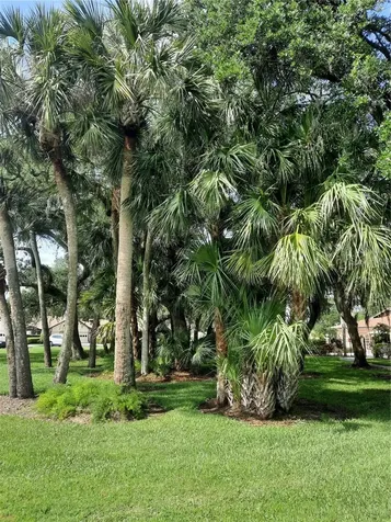 5709 Avista Drive Sarasota FL 34243
