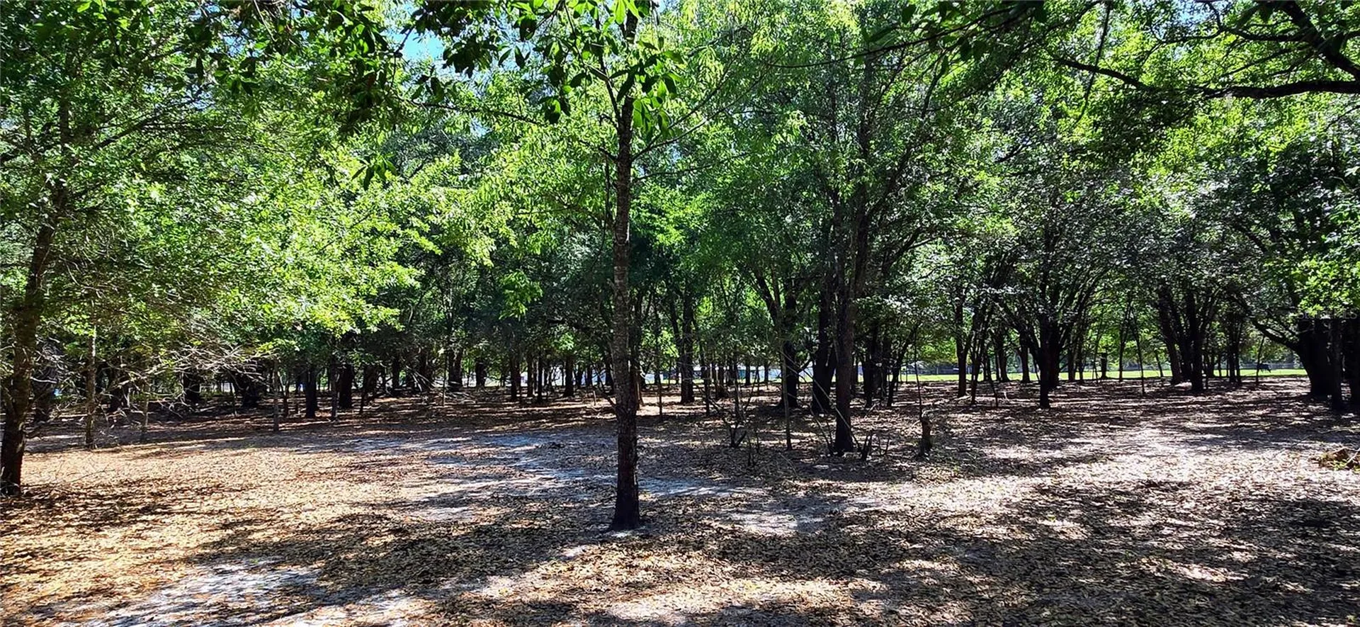 0 Connell Road Plant City FL 33567