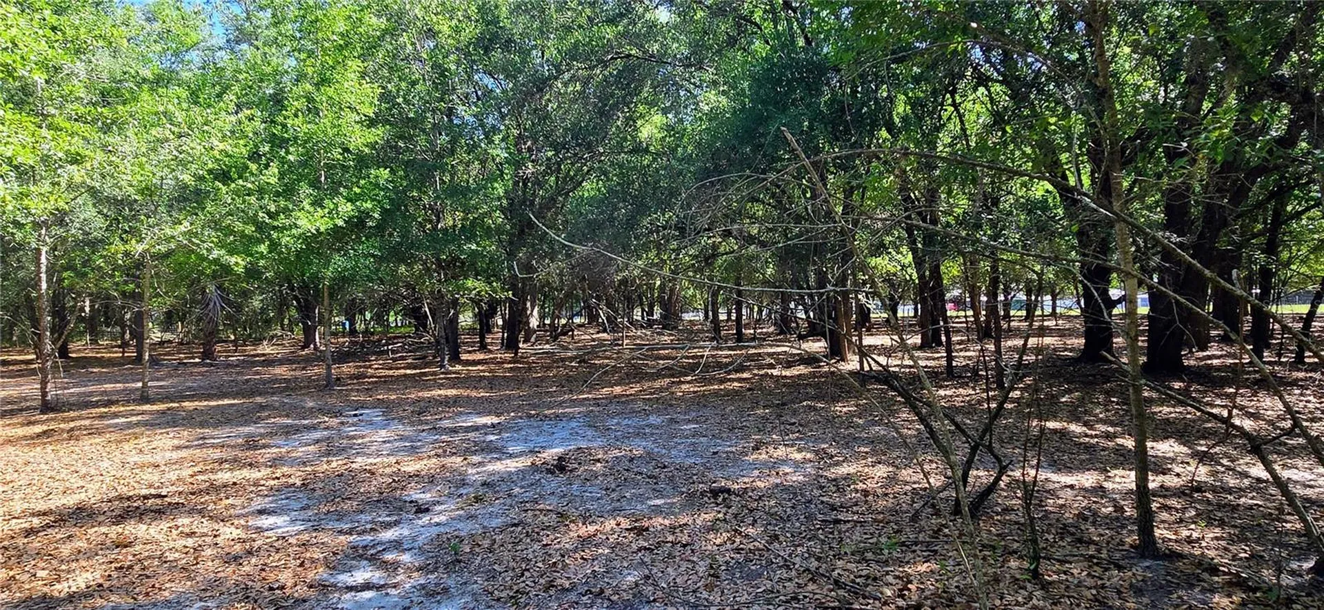 0 Connell Road Plant City FL 33567