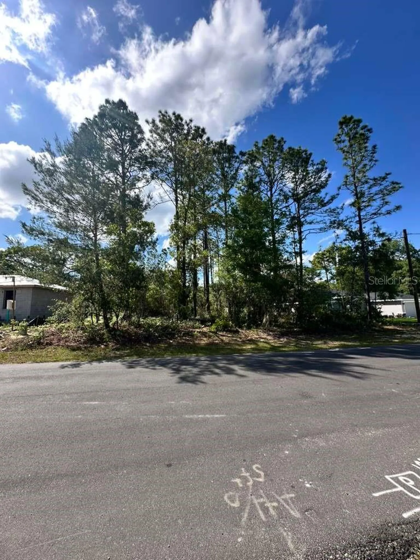 3125 W Fairbank Drive Citrus Springs FL 34433
