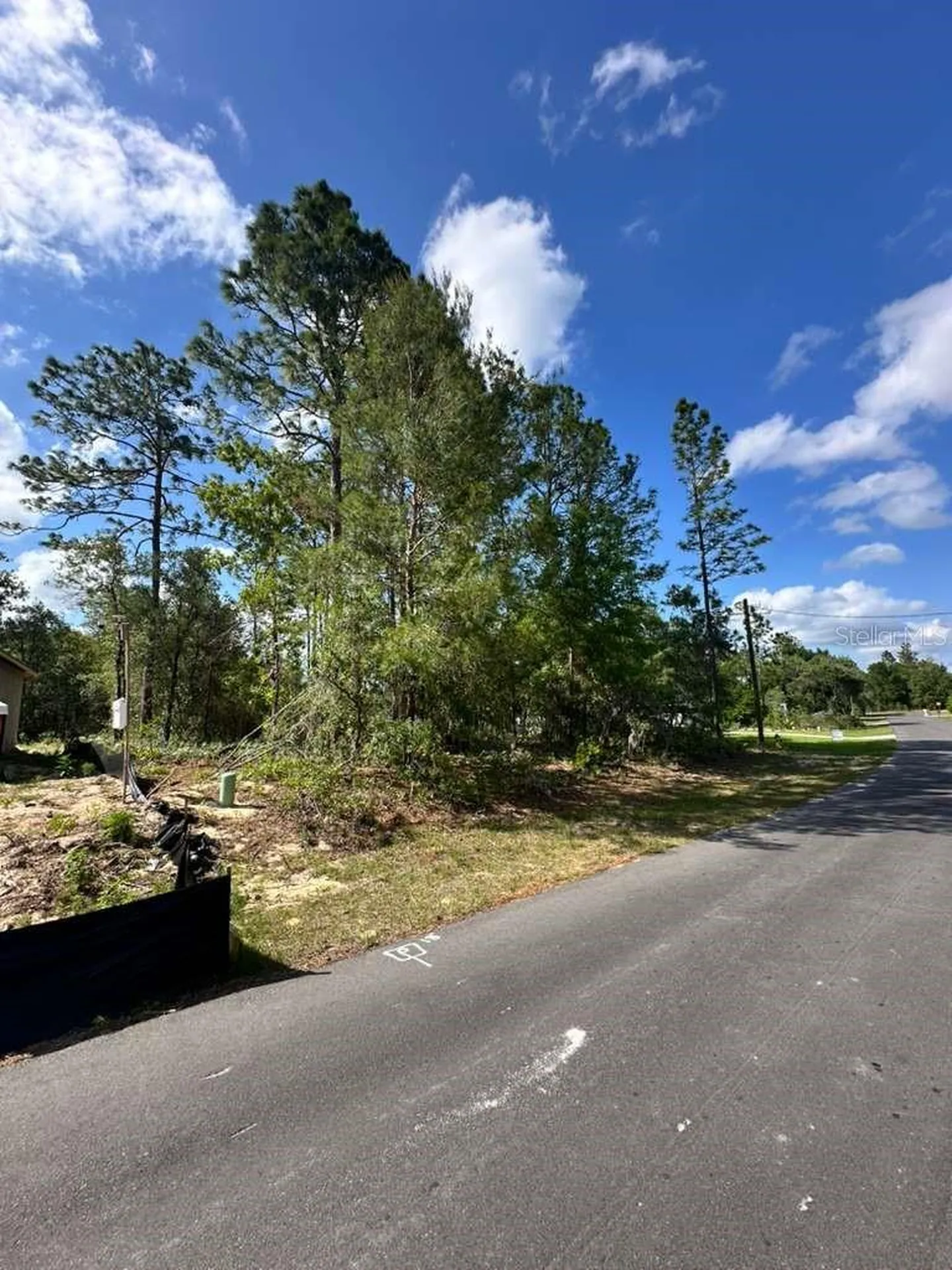 3125 W Fairbank Drive Citrus Springs FL 34433