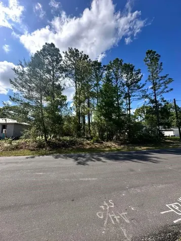 3125 W Fairbank Drive Citrus Springs FL 34433