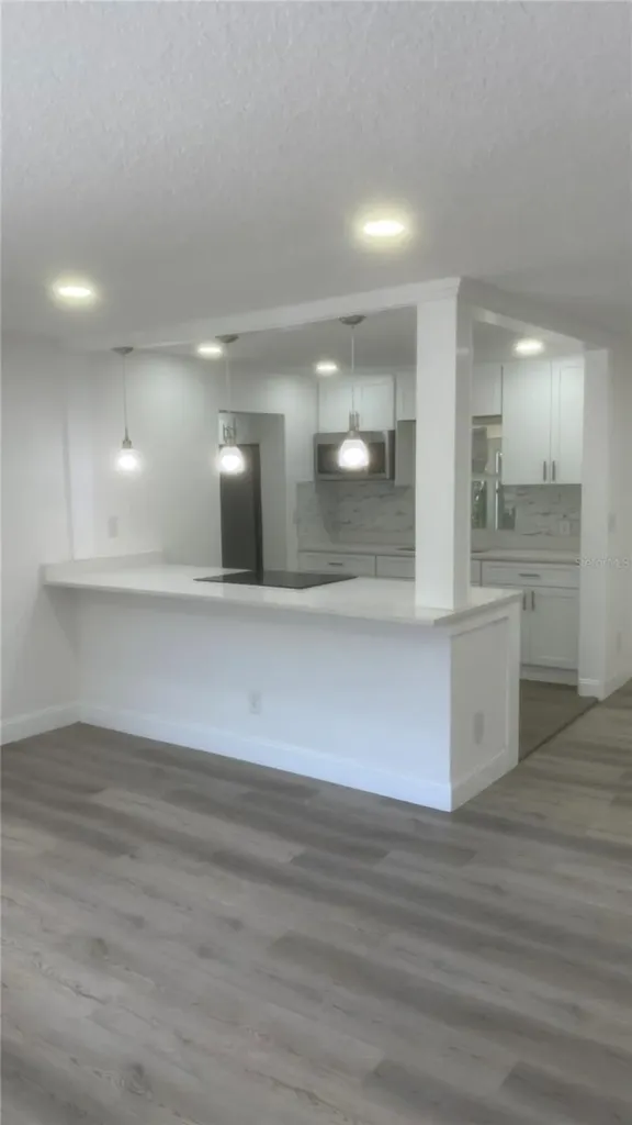 113 W Division Street Winter Garden FL 34787