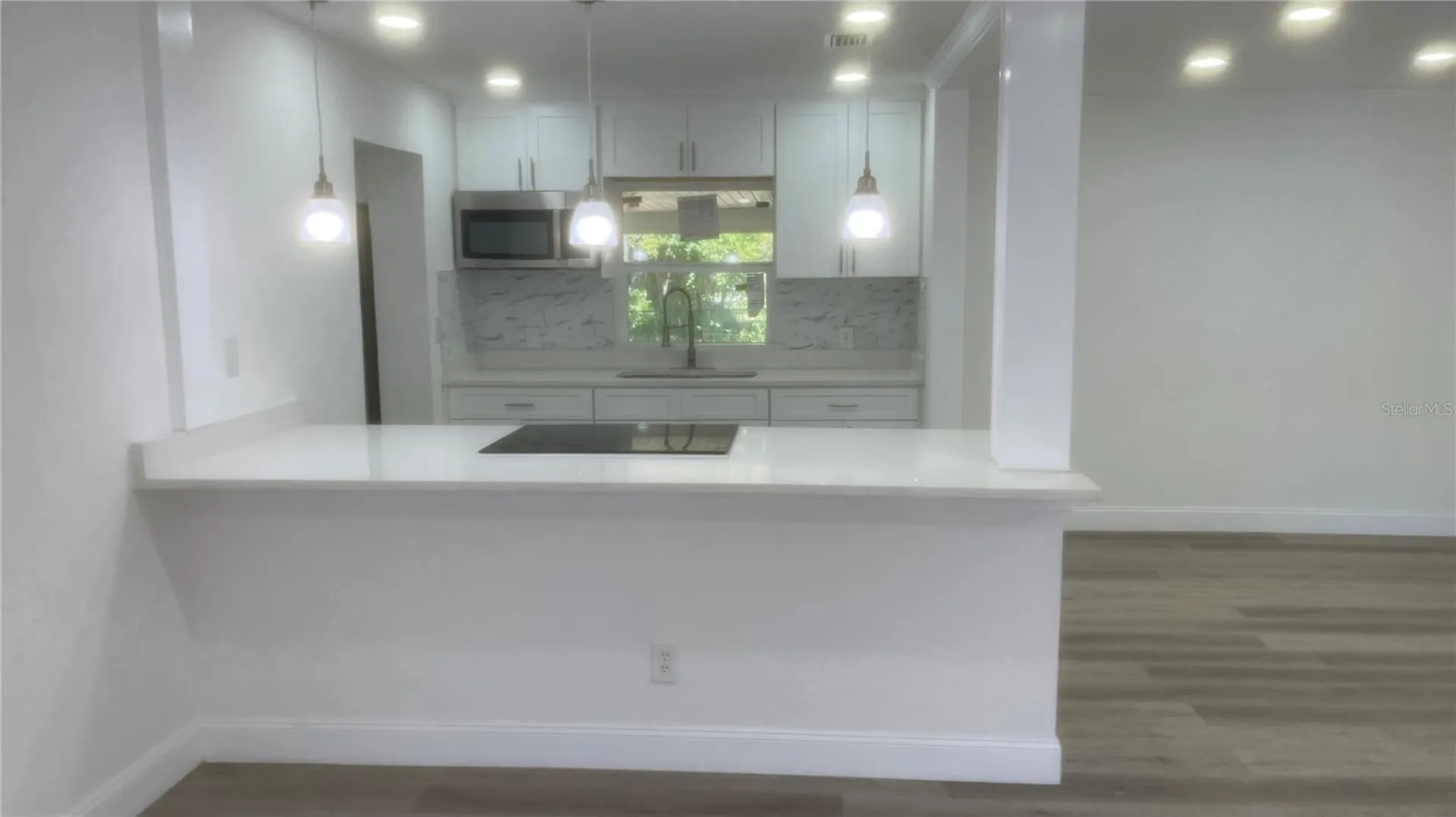 113 W Division Street Winter Garden FL 34787