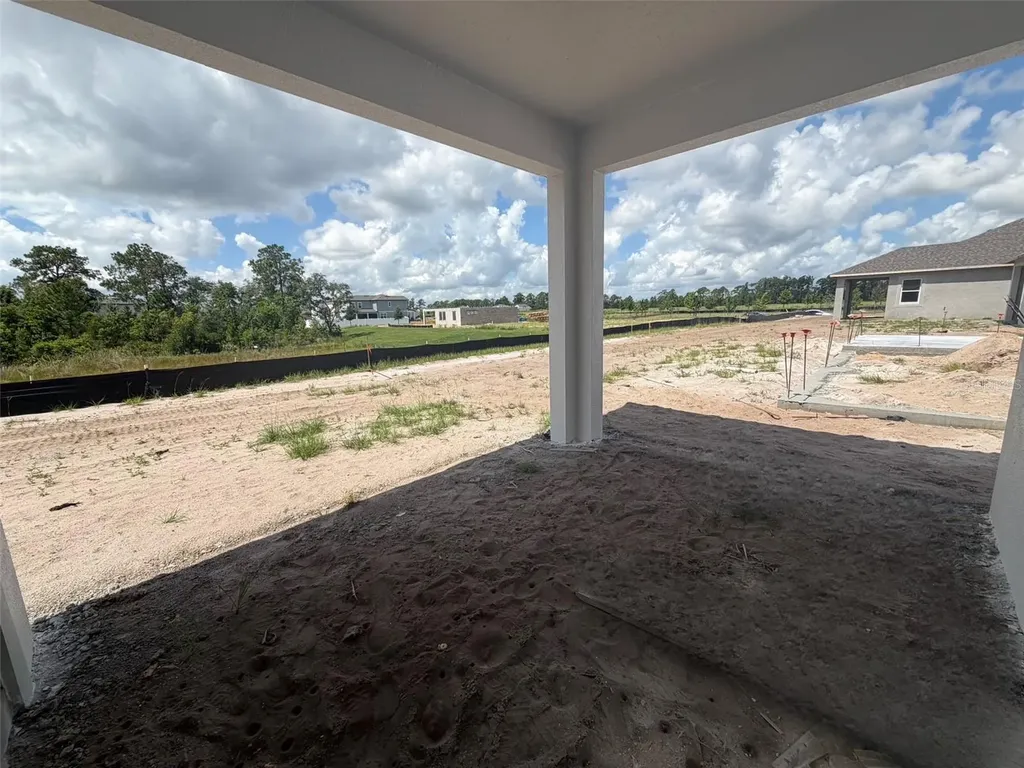 17412 Honeybell Tangelo Court Winter Garden FL 34787