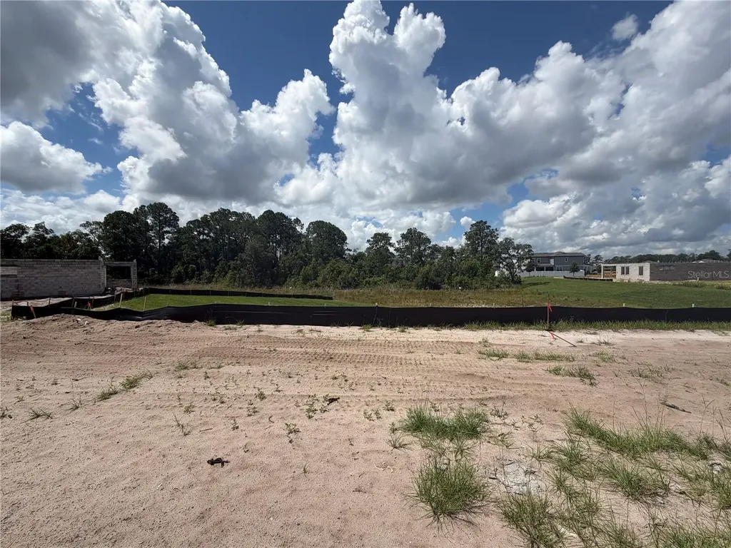 17412 Honeybell Tangelo Court Winter Garden FL 34787