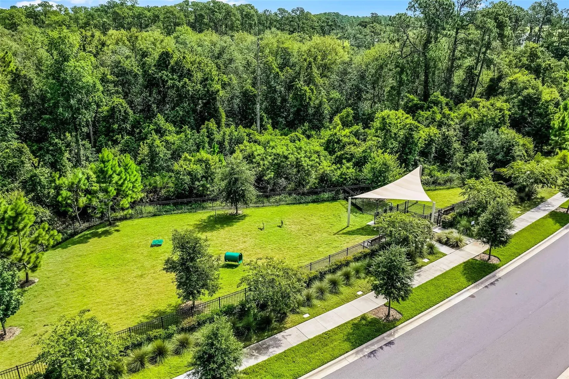 17412 Honeybell Tangelo Court Winter Garden FL 34787