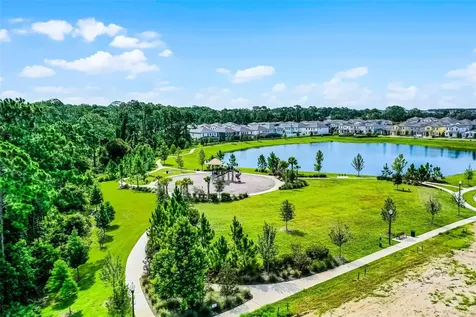 17412 Honeybell Tangelo Court Winter Garden FL 34787