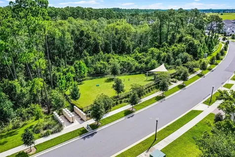 17412 Honeybell Tangelo Court Winter Garden FL 34787