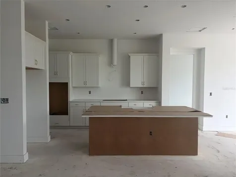 17412 Honeybell Tangelo Court Winter Garden FL 34787