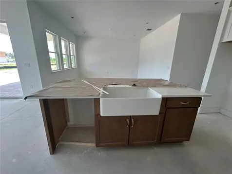 17412 Honeybell Tangelo Court Winter Garden FL 34787