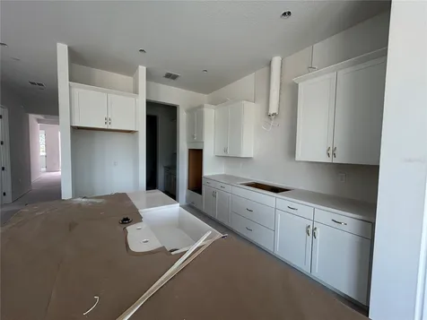 17412 Honeybell Tangelo Court Winter Garden FL 34787